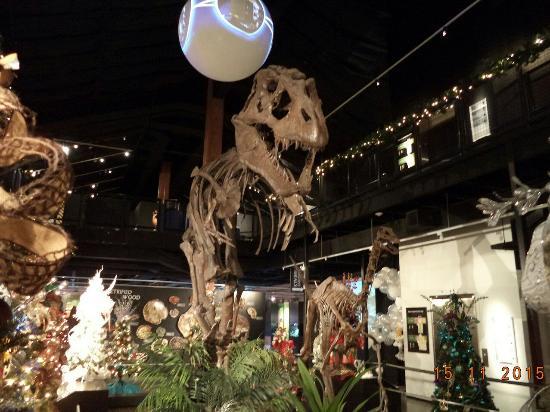 Houston Museum of Natural Science at Sugar Land